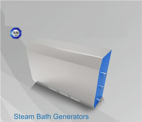 China High Power Commercial Steam Room Equipment Electric Heating Type Waterproof IPX6 supplier